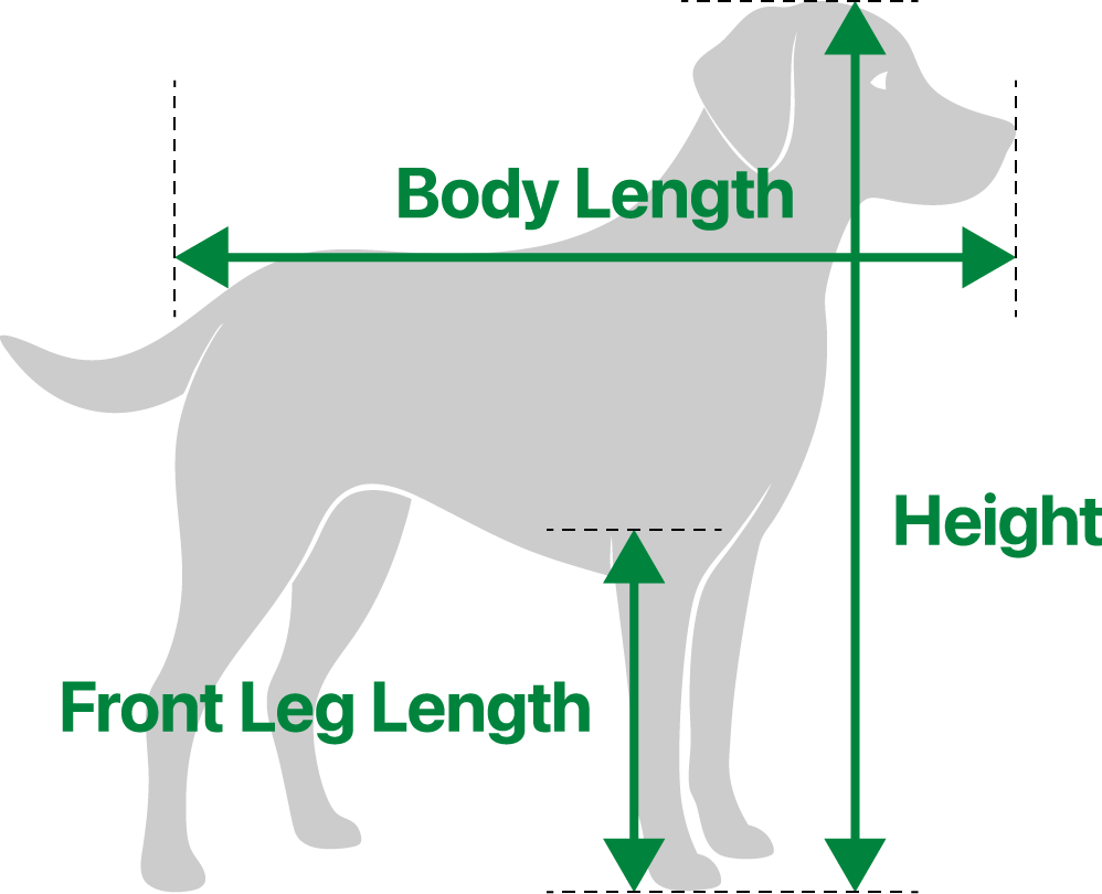 The cost varies depending on the size of the crate for your pet,the departure location, and the final destination.