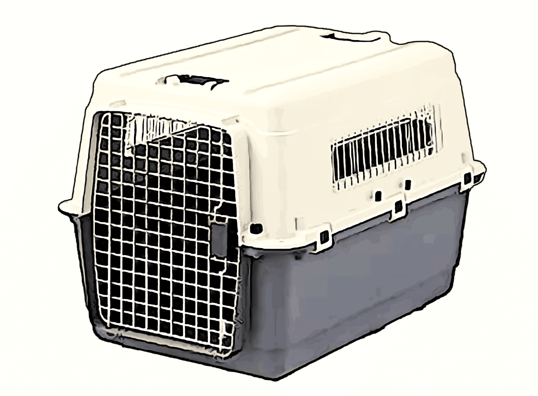 Getting your pet accustomed to the crate is very important.